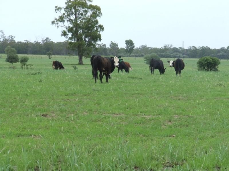 Millmerran QLD 4357