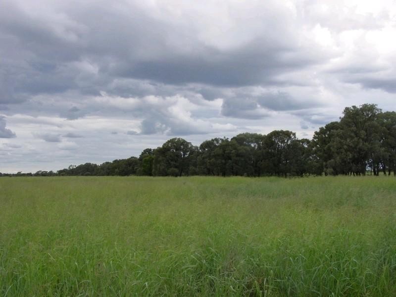 3757 Yagaburne-Boondandilla Road, Goondiwindi QLD 4390