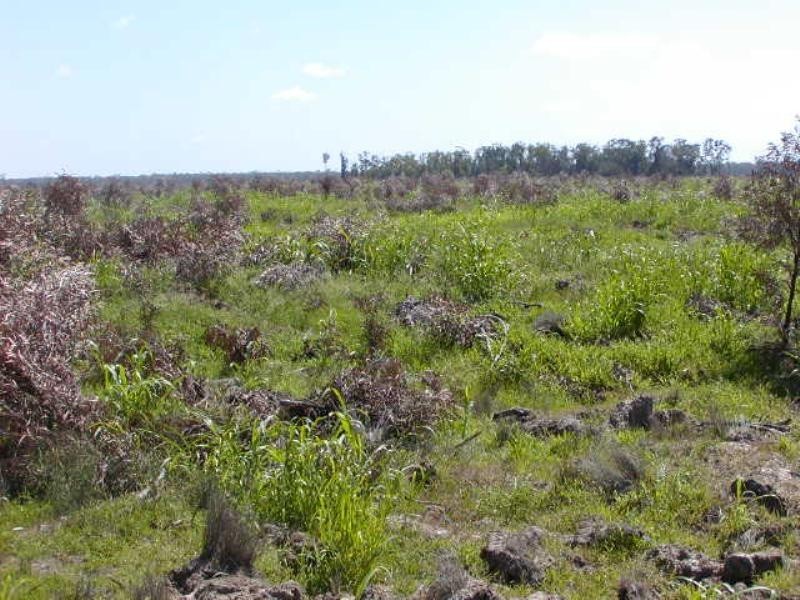 3757 Yagaburne-Boondandilla Road, Goondiwindi QLD 4390