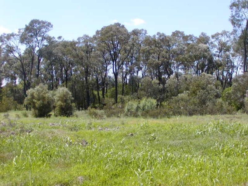 3757 Yagaburne-Boondandilla Road, Goondiwindi QLD 4390