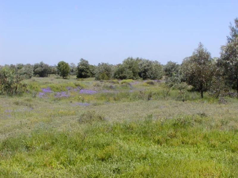 3757 Yagaburne-Boondandilla Road, Goondiwindi QLD 4390