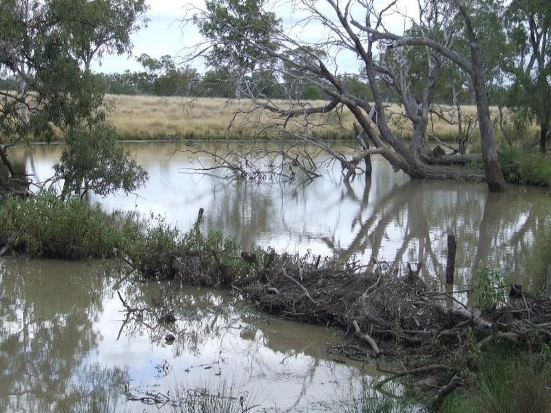 Goondiwindi QLD 4390