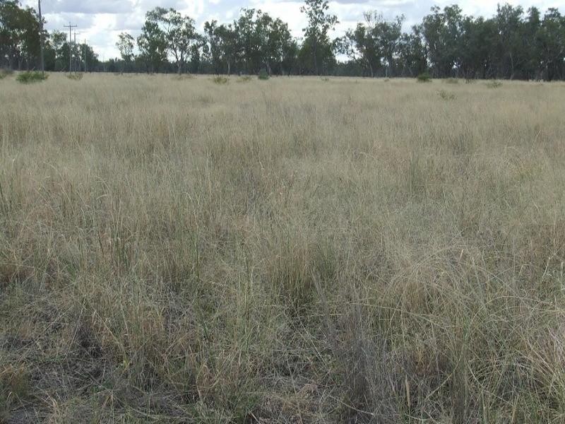 Goondiwindi QLD 4390