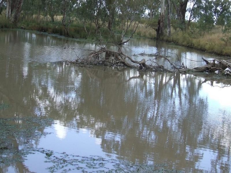 Goondiwindi QLD 4390