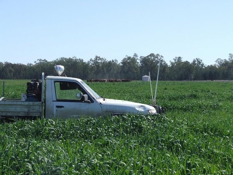 Goondiwindi QLD 4390