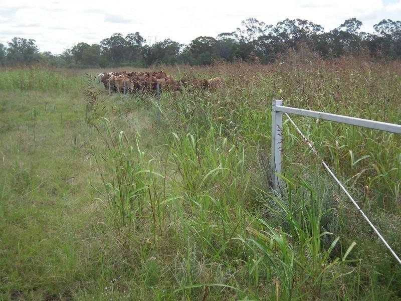 Goondiwindi QLD 4390