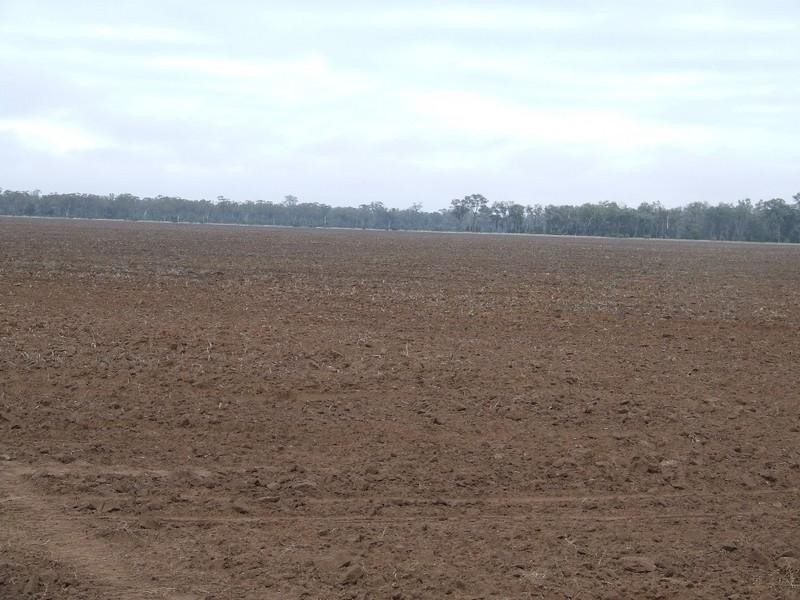 Goondiwindi QLD 4390