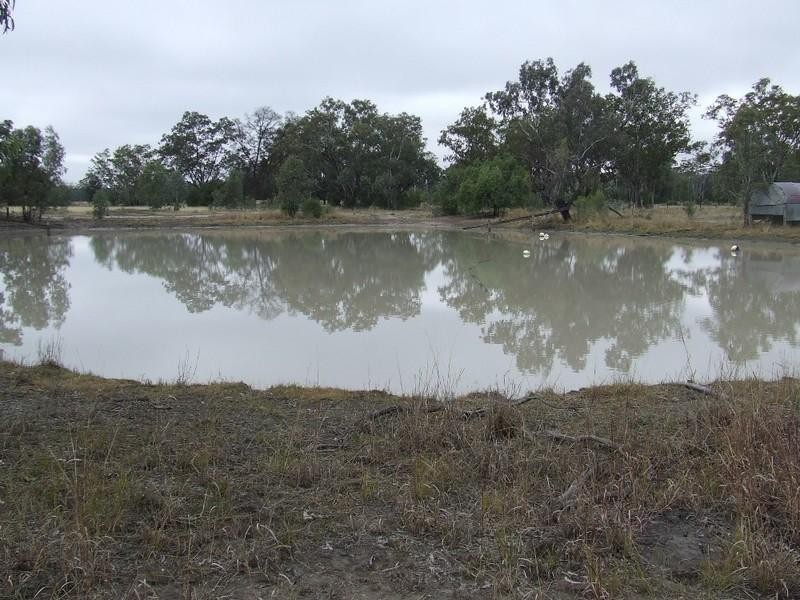 Goondiwindi QLD 4390