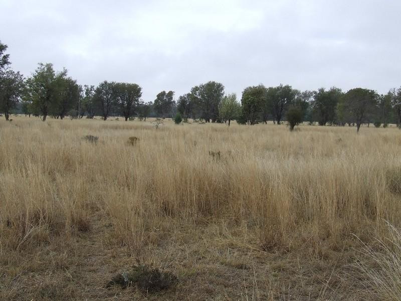 Goondiwindi QLD 4390