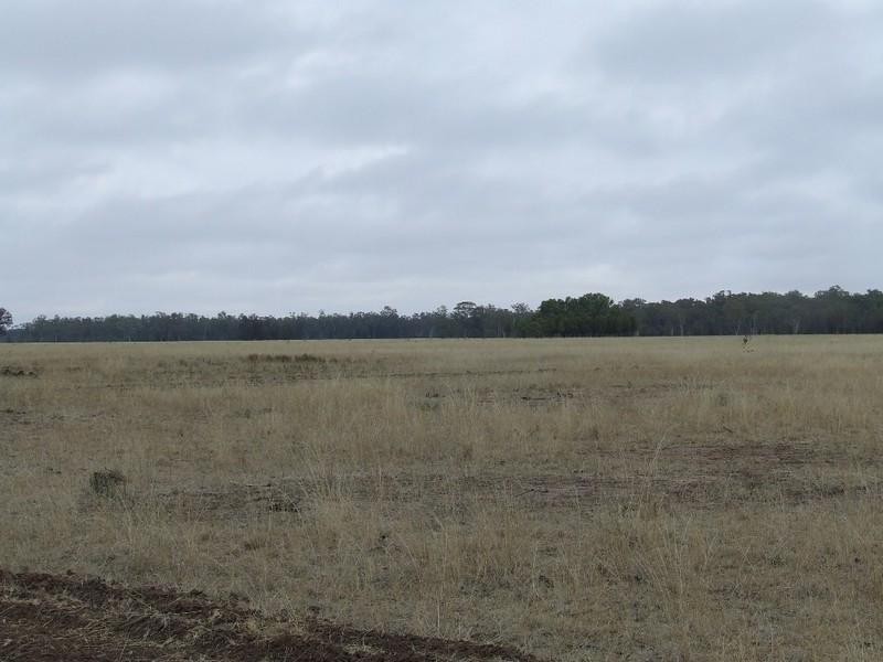 Goondiwindi QLD 4390