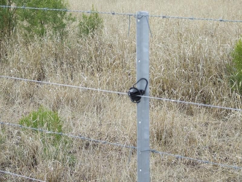 Goondiwindi QLD 4390