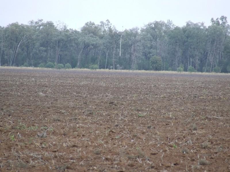 Goondiwindi QLD 4390