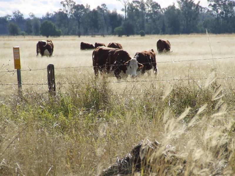 Yelarbon QLD 4388