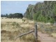 Yelarbon QLD 4388