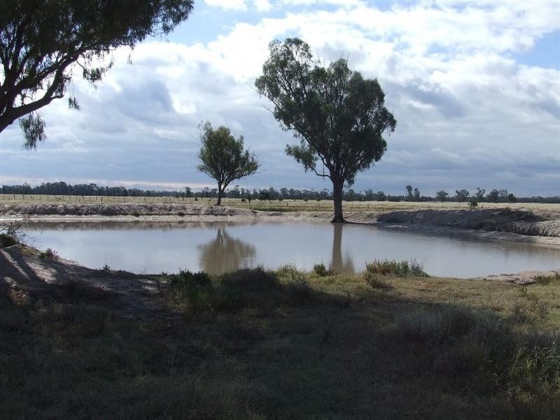 Yelarbon QLD 4388