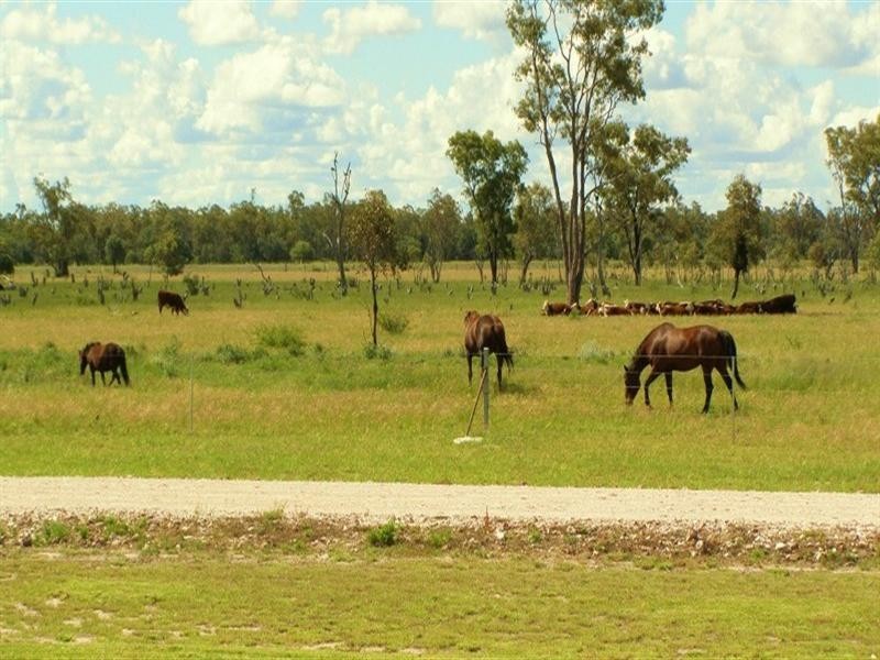 Goondiwindi QLD 4390