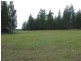 Texas QLD 4385