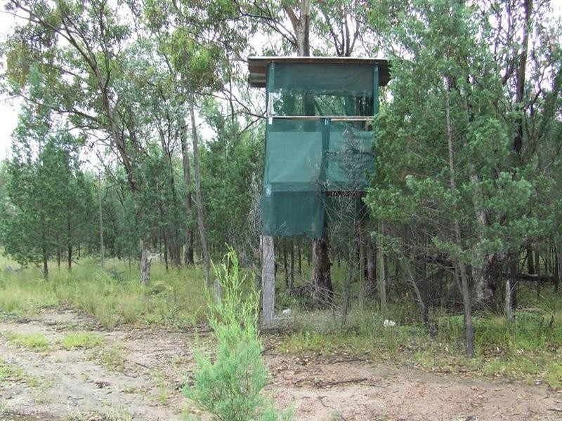 Texas QLD 4385