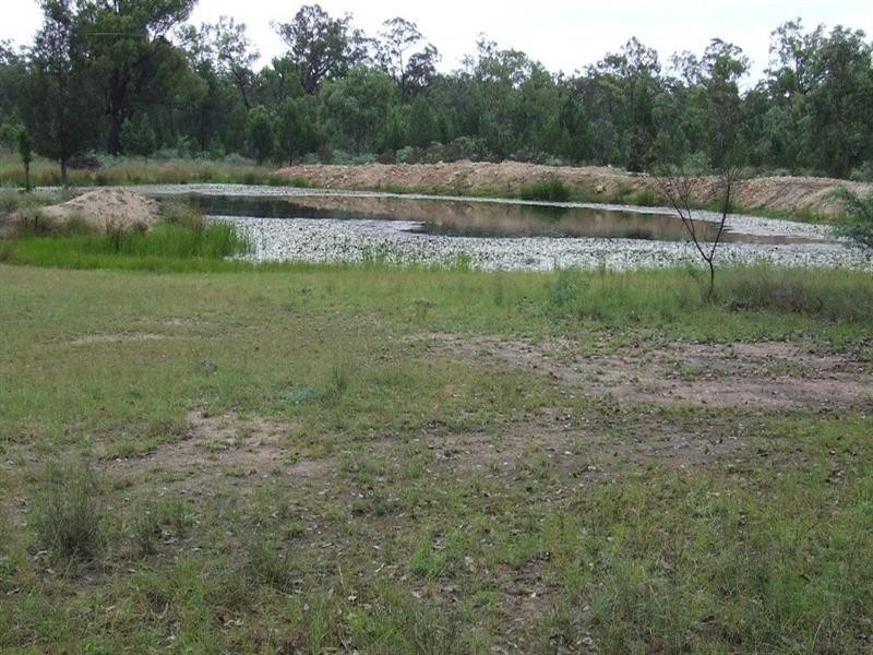 Texas QLD 4385