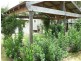 44 Kaboon Street, Yelarbon QLD 4388