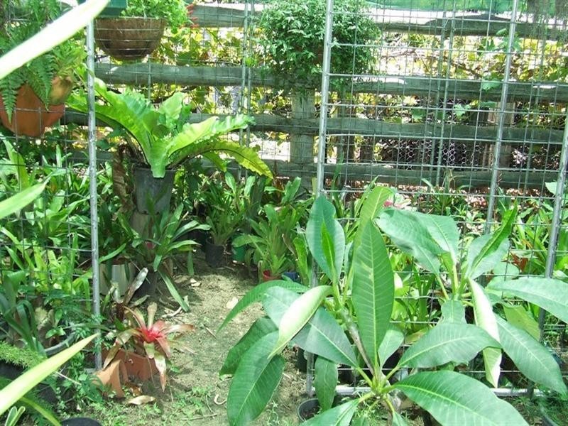 Goondiwindi QLD 4390