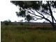 99 Holcombes Road, Goondiwindi QLD 4390