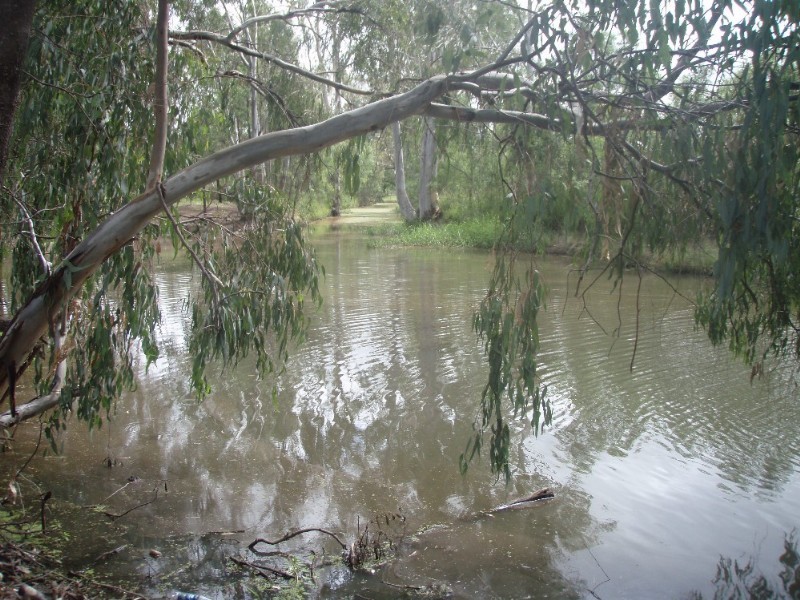 138 Pfingst Street, Goondiwindi QLD 4390