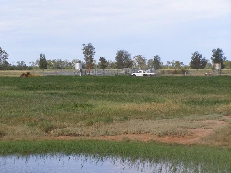 10 Scudamores Road, Goondiwindi QLD 4390
