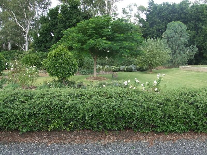 LOT 147 Sandalwood Drive, Goondiwindi QLD 4390