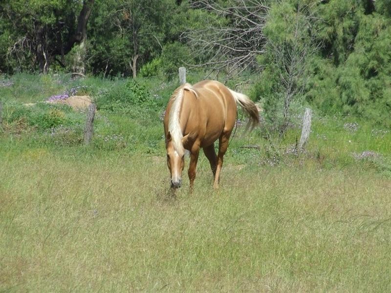 Goondiwindi QLD 4390