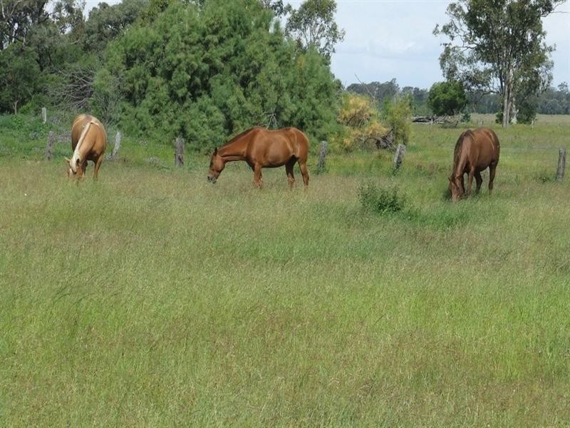 Goondiwindi QLD 4390