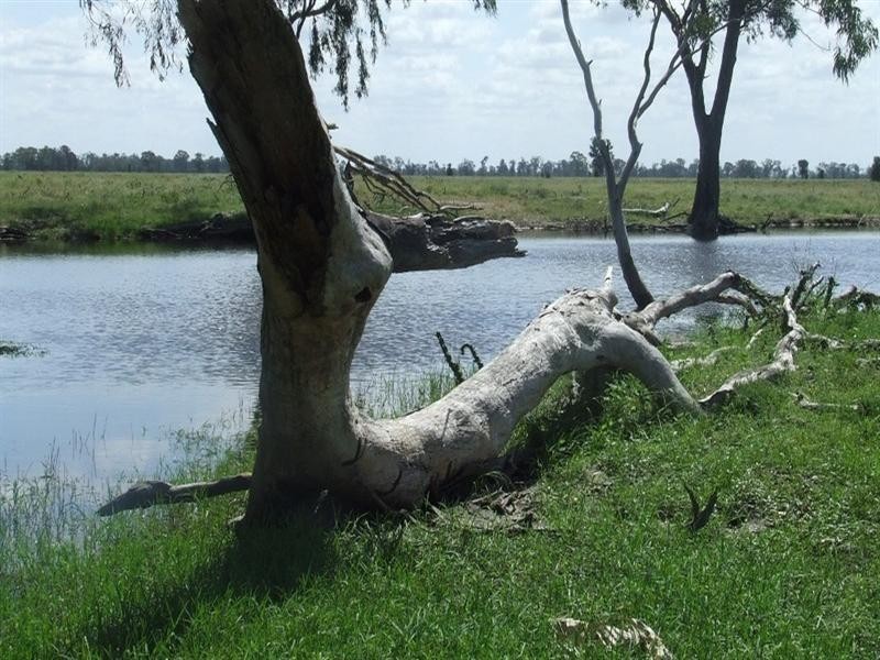 Goondiwindi QLD 4390