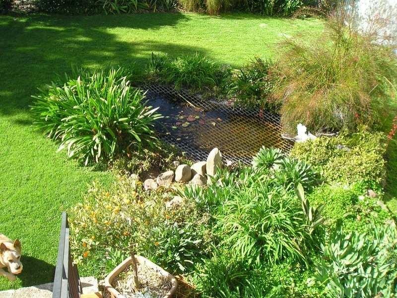 7 Delacy Street, Goondiwindi QLD 4390