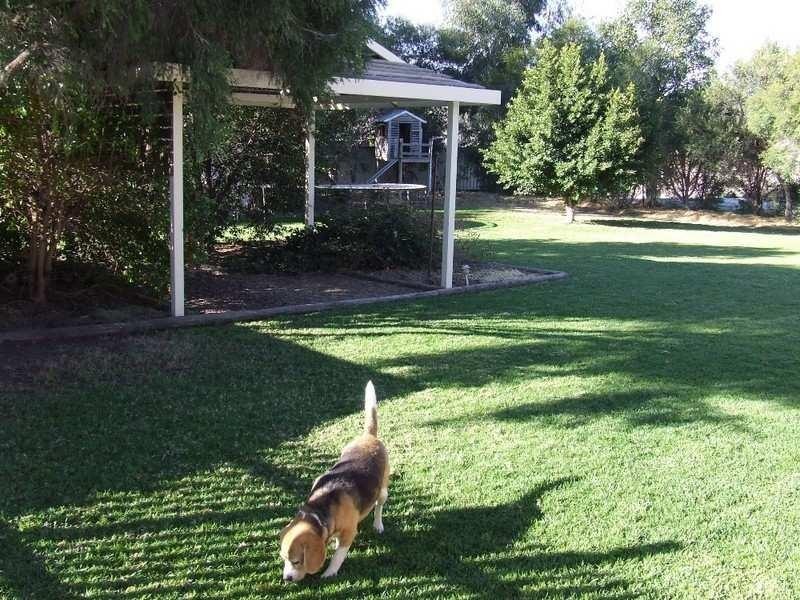 Goondiwindi QLD 4390