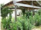 44 Kaboon Street, Yelarbon QLD 4388