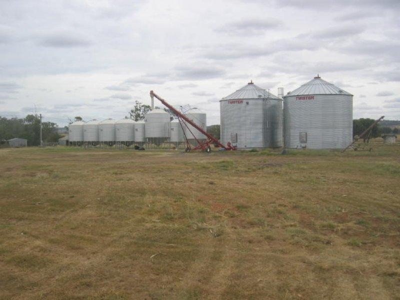 878 Blue Nobby Road, North Star NSW 2408