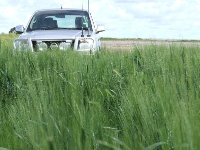 878 Blue Nobby Road, North Star NSW 2408