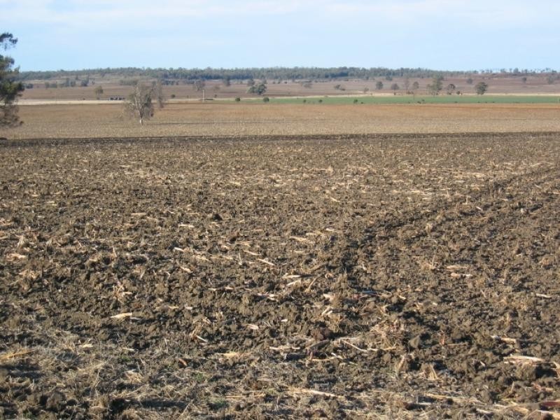 878 Blue Nobby Road, North Star NSW 2408