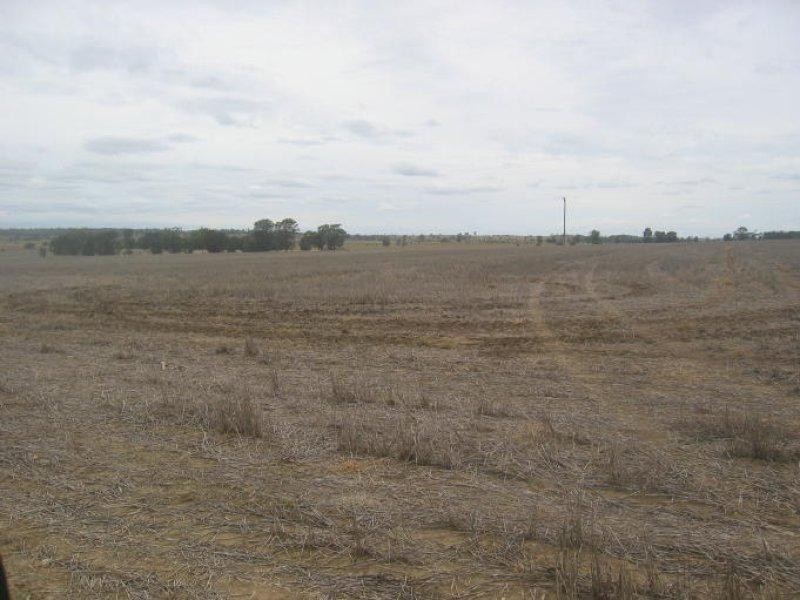 878 Blue Nobby Road, North Star NSW 2408