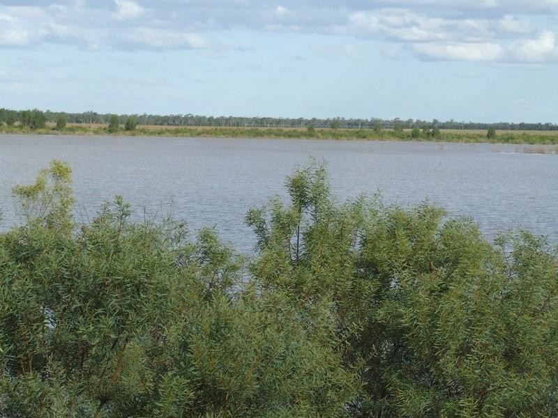 2 Widgewa Road, Goondiwindi QLD 4390