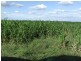 2 Widgewa Road, Goondiwindi QLD 4390