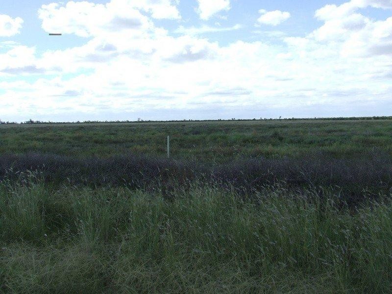 2 Widgewa Road, Goondiwindi QLD 4390