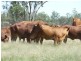 2 Widgewa Road, Goondiwindi QLD 4390
