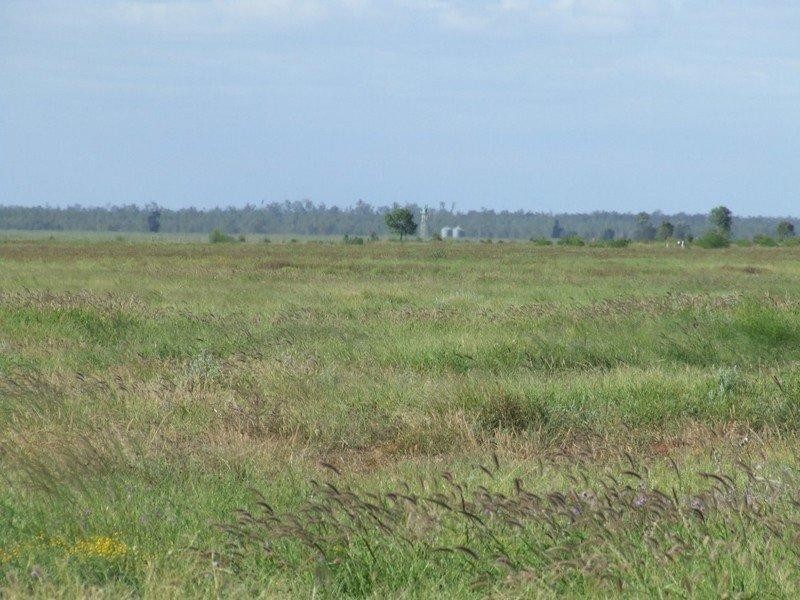 2 Widgewa Road, Goondiwindi QLD 4390
