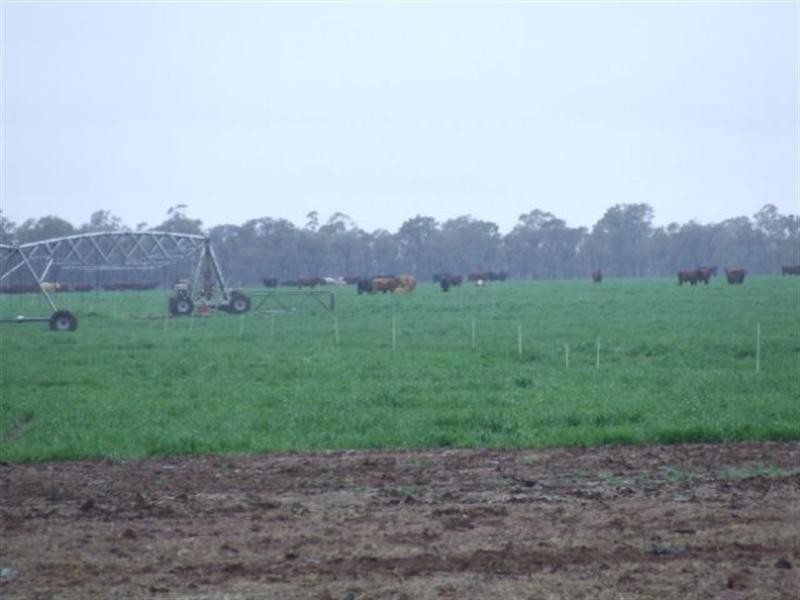 2 Widgewa Road, Goondiwindi QLD 4390