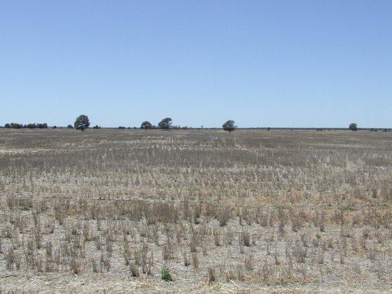 525 Narromine Road, Goondiwindi QLD 4390