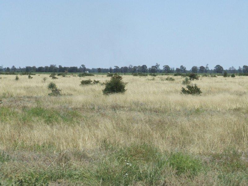 525 Narromine Road, Goondiwindi QLD 4390