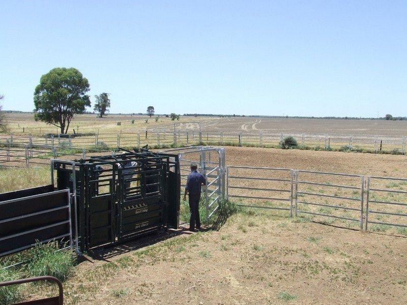 525 Narromine Road, Goondiwindi QLD 4390