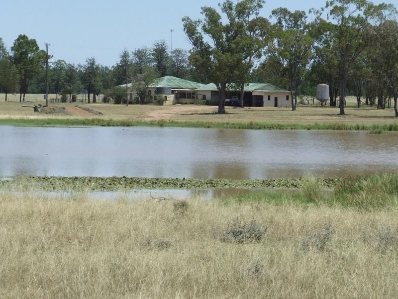 525 Narromine Road, Goondiwindi QLD 4390