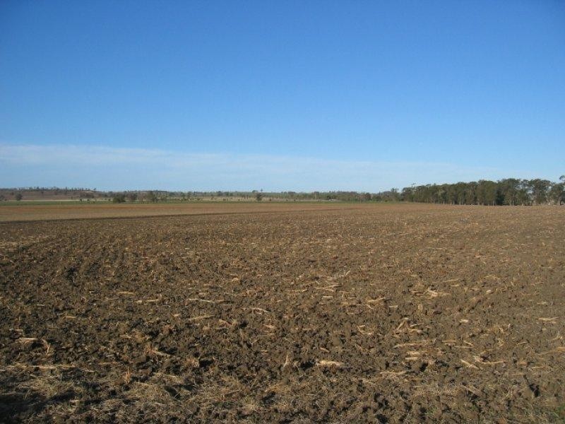 878 Blue Nobby Road, North Star NSW 2408